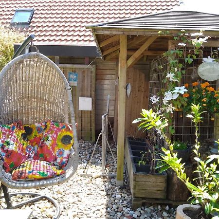 Tiny House Tulp Vila Oudesluis  Exterior foto